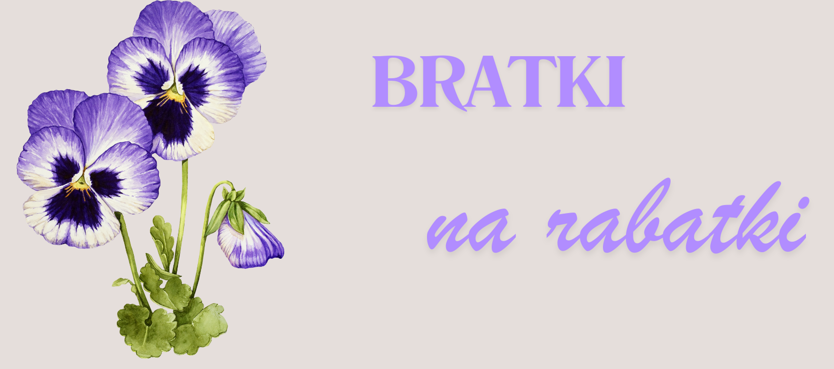 Obraz zawierający kwiat, roślina, fiołek, bratek

Opis wygenerowany automatycznie