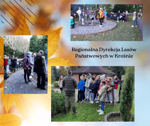 Wizyta szkolnego koła LOP w RDLP w Krośnie - Obrazek 3