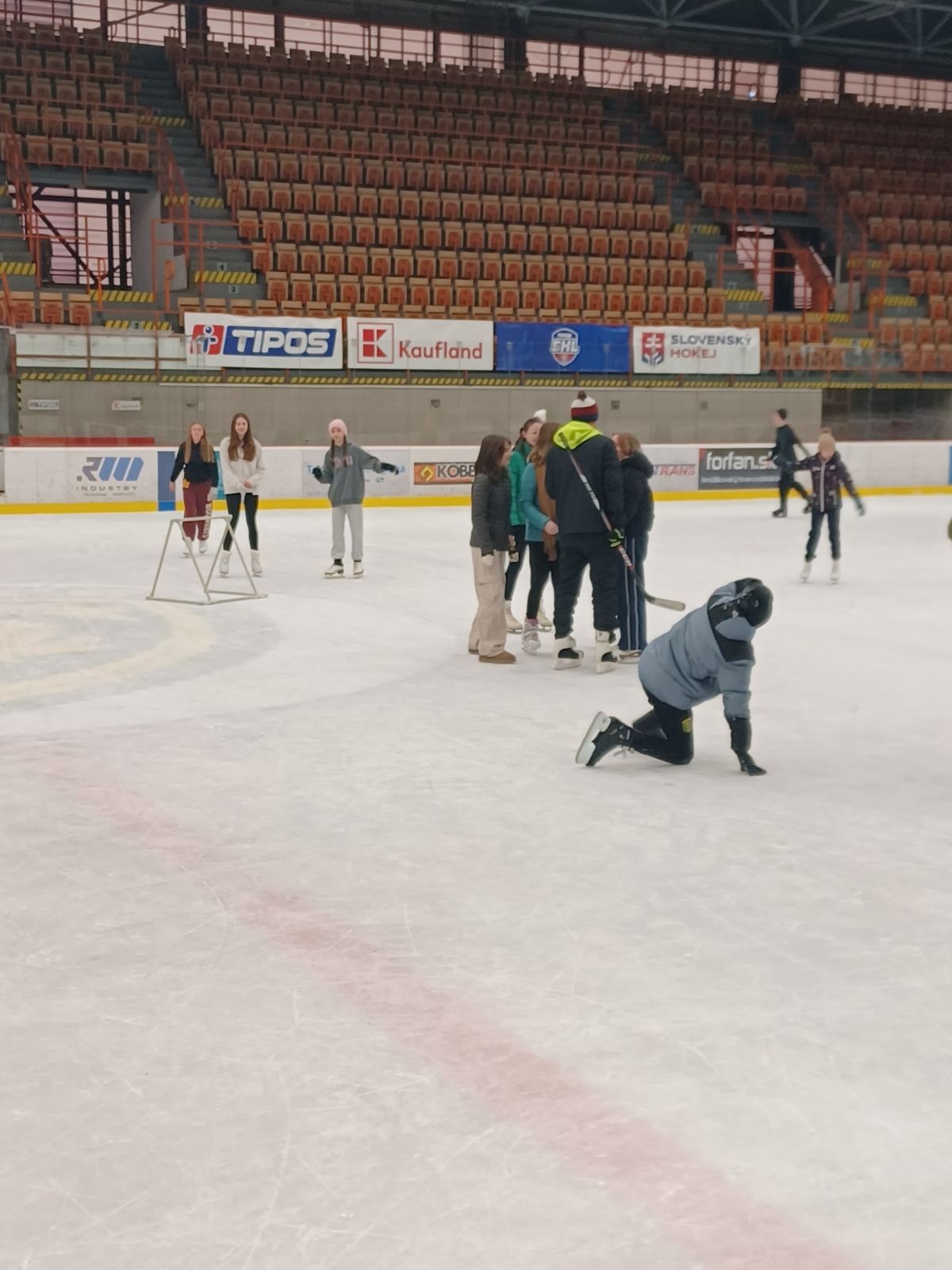 Športová príprava na ľade  - Obrázok 3