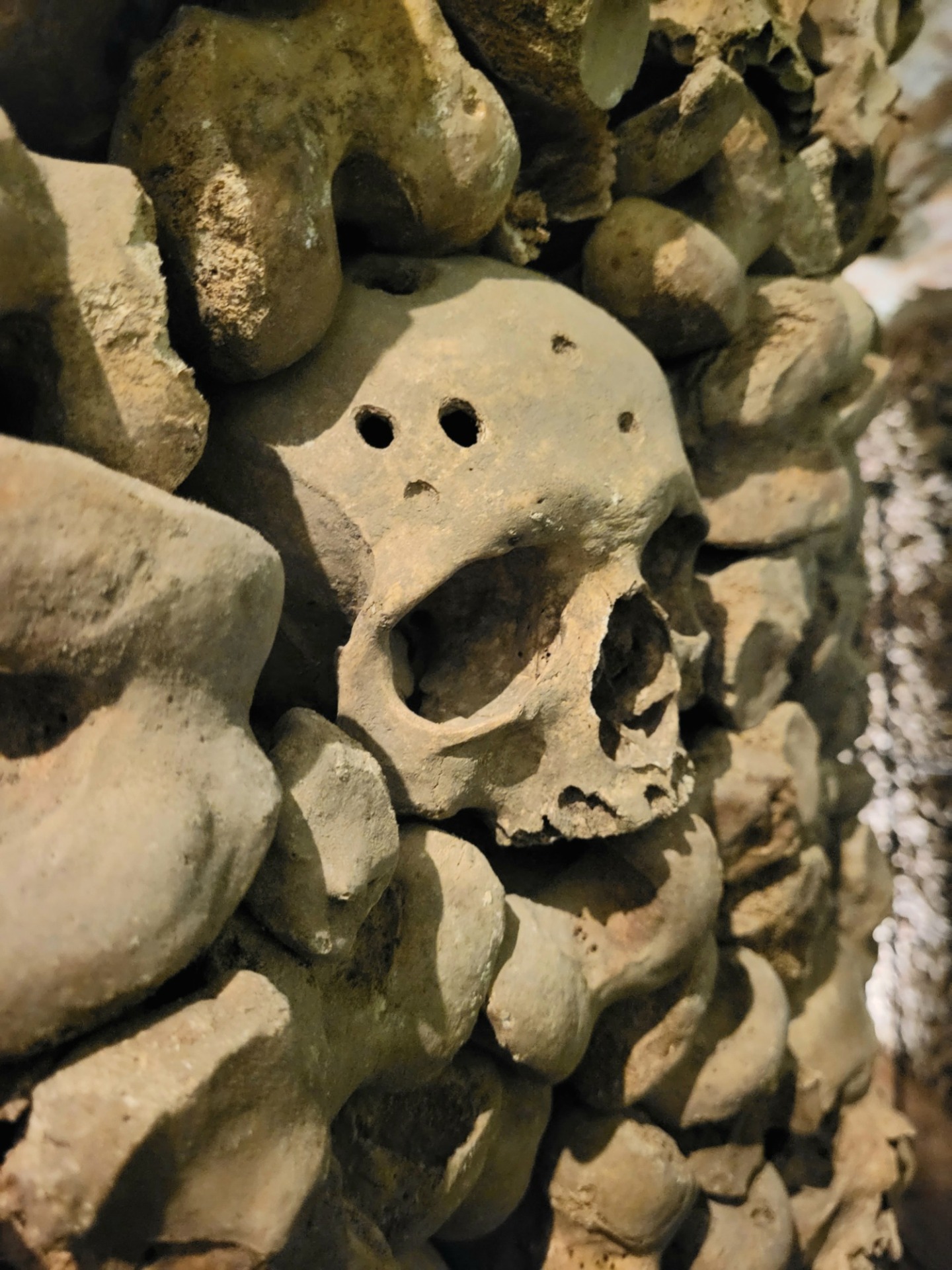 Tisíce kostí stredovekých obyvateľov na jednom mieste - Obrázok 5