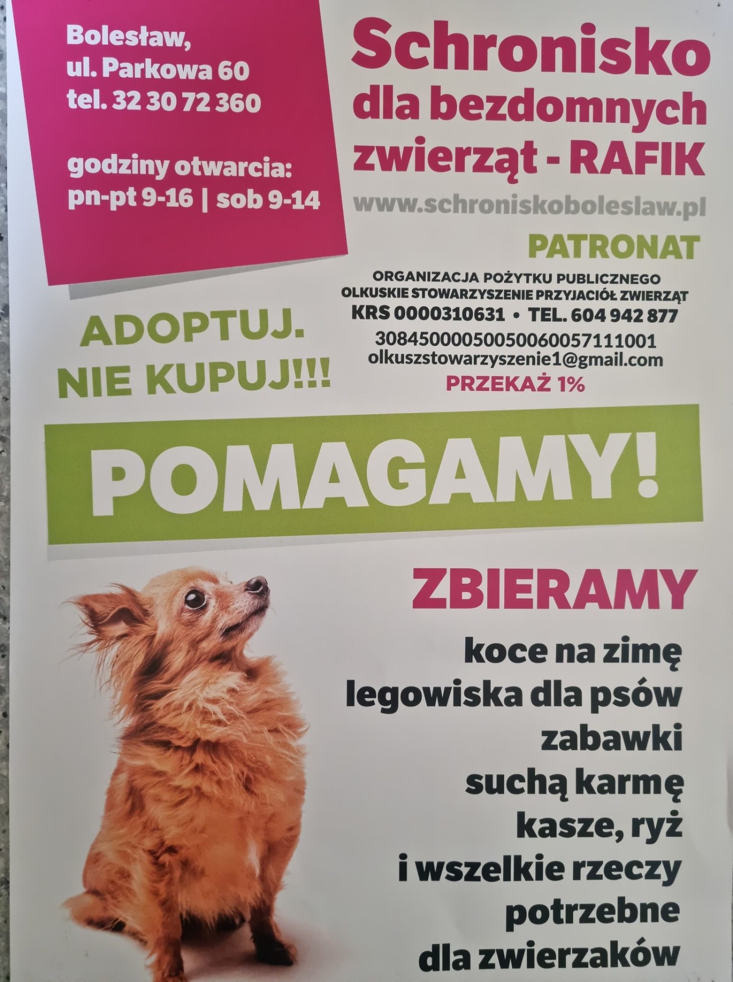 Szkolny Klub Wolontariusza organizuje zbiórkę dla podopiecznych schroniska dla bezdomnych zwierząt Rafik w Bolesławiu.  Zapraszamy do udziału :) - Obrazek 1