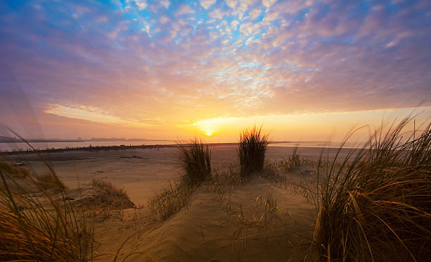 Opis: Piękny zachód słońca i sand dunes – zdjęcie