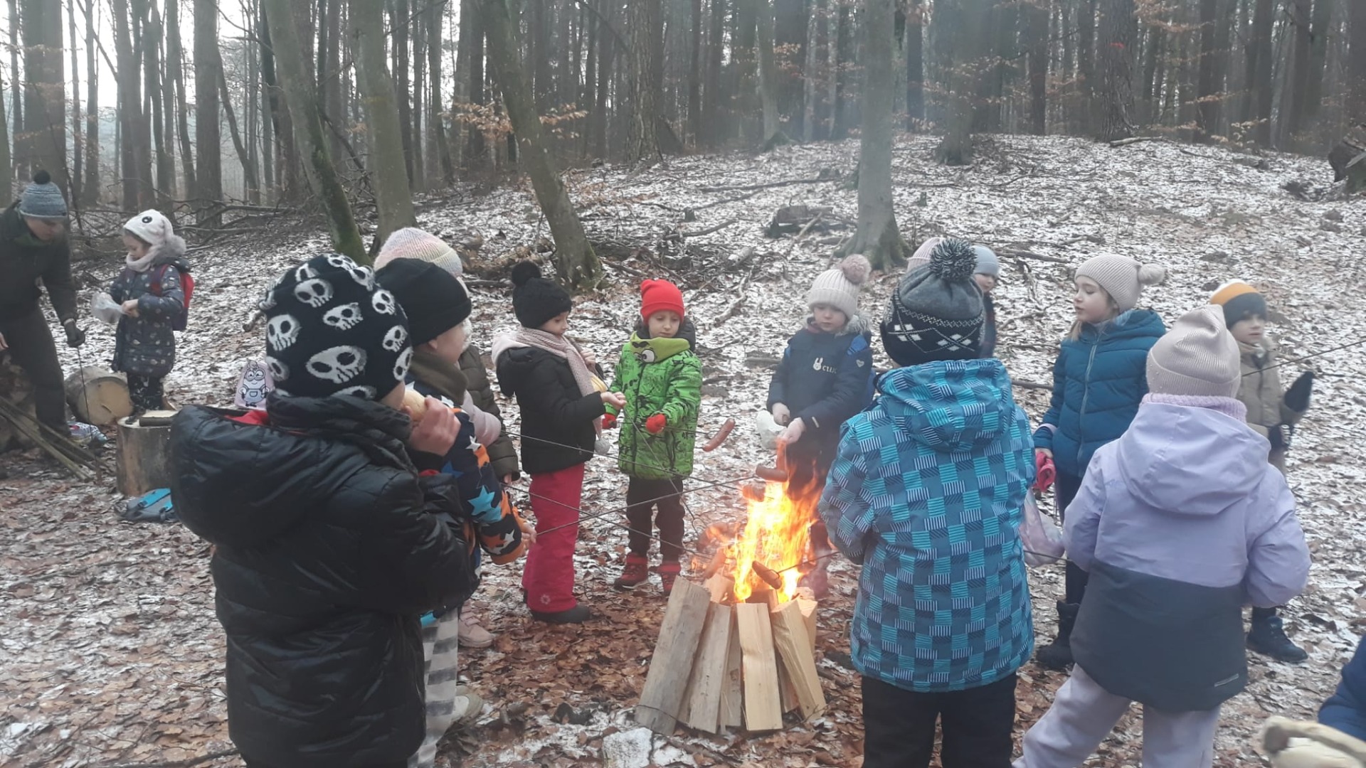 „Dokarmiamy zwierzęta zimą” - wycieczka do lasu