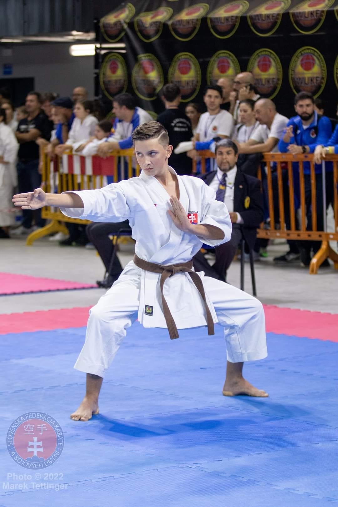 Súrodenci Švaraloví- Majstrovstvá Európy v karate - Obrázok 5