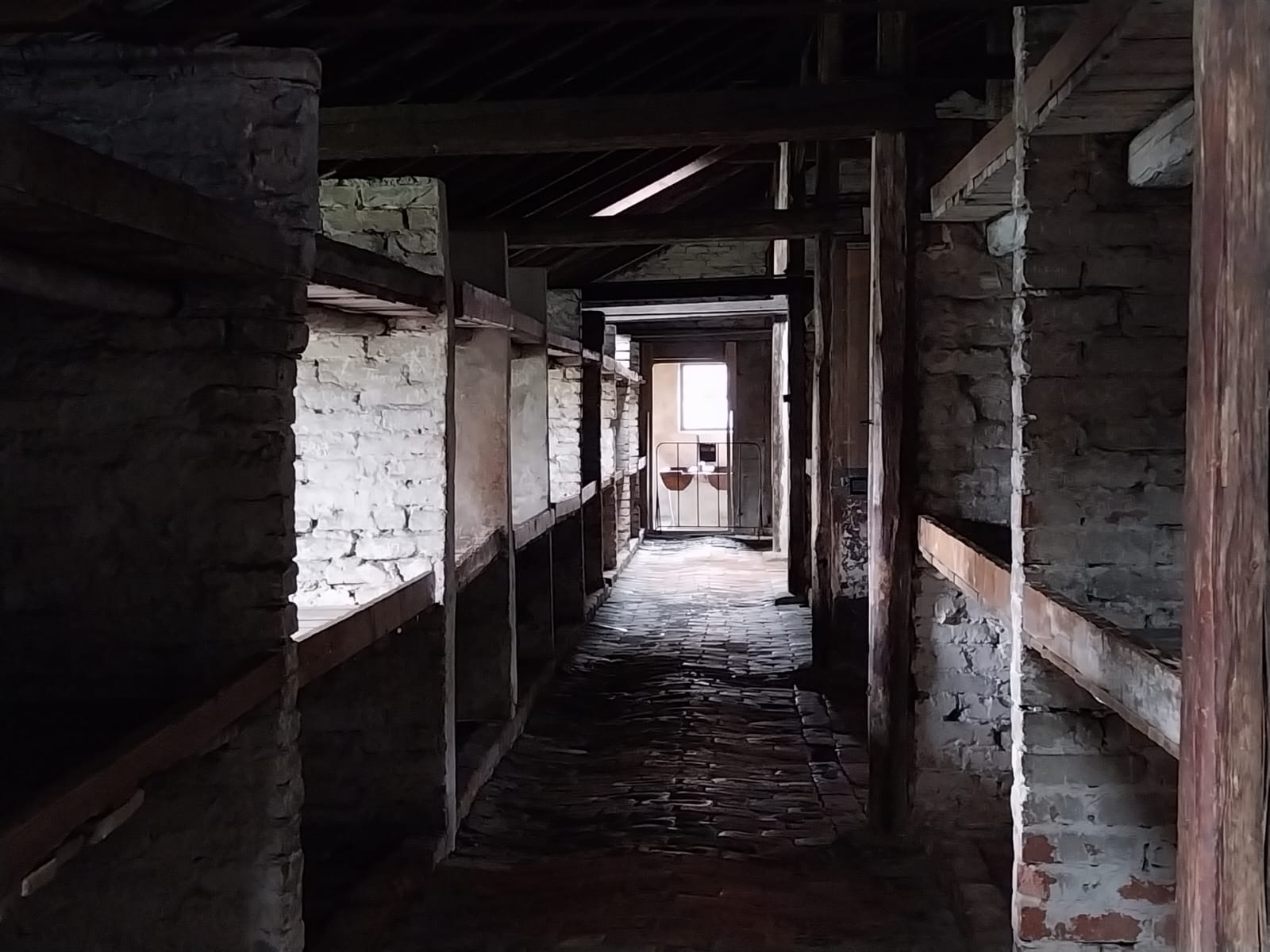 Muzeum Auschwitz-Birkenau - Obrazek 4