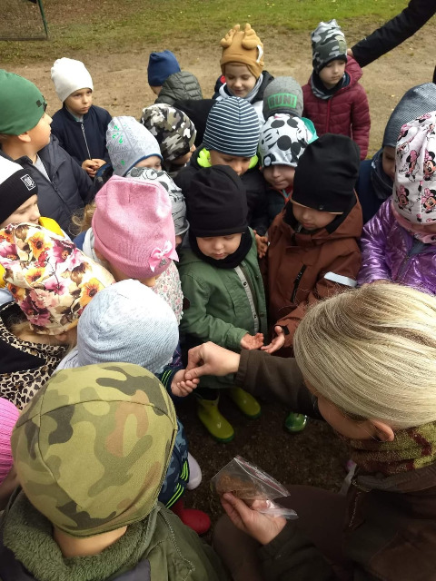 Wizyta naszych przedszkolaków w szkółce leśnej  - Obrazek 2