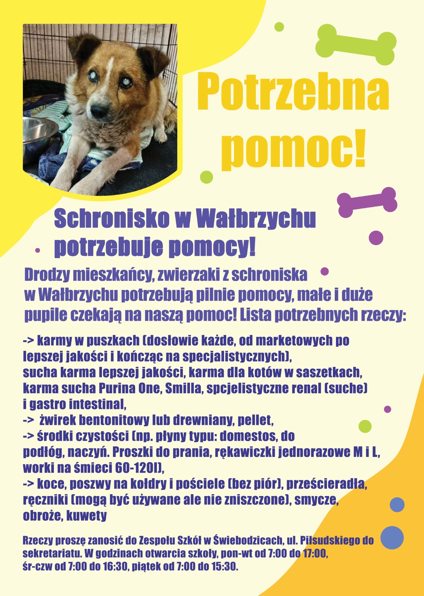 Schronisko w Wałbrzychu potrzebuje naszej pomocy! - Obrazek 1