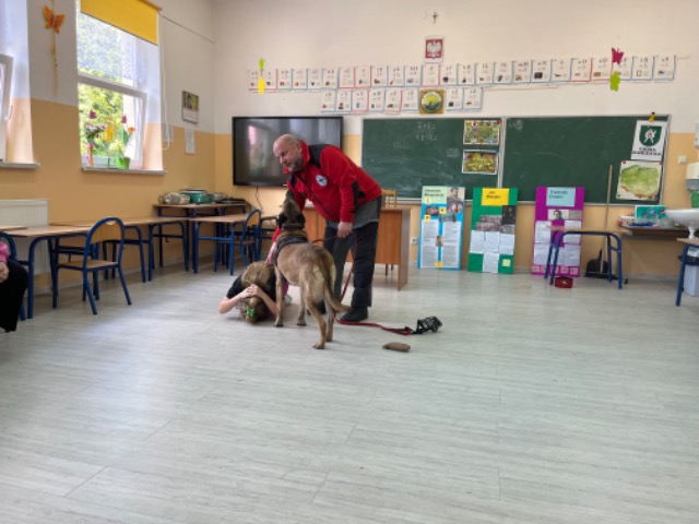 Pies w szkole - jako wspomaganie edukacji i wychowania. - Obrazek 3
