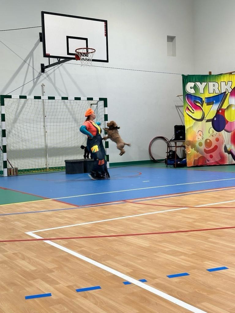 Zdjęcie przedstawia clowna stojącego na sali gimnastycznej, przed którym stoi mały motor. Obok skacze pies..
